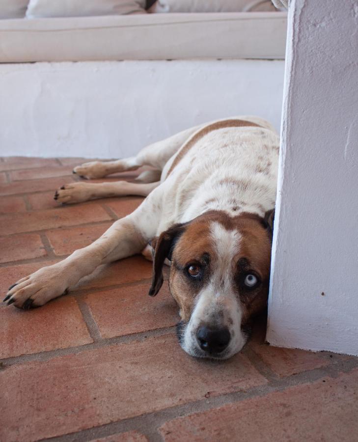 Sharish - Monte Das Estevas Estremoz Esterno foto