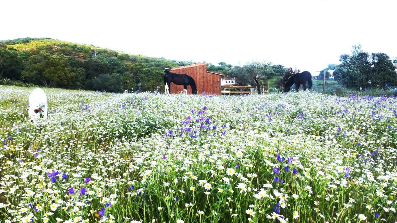 Sharish - Monte Das Estevas Estremoz Esterno foto