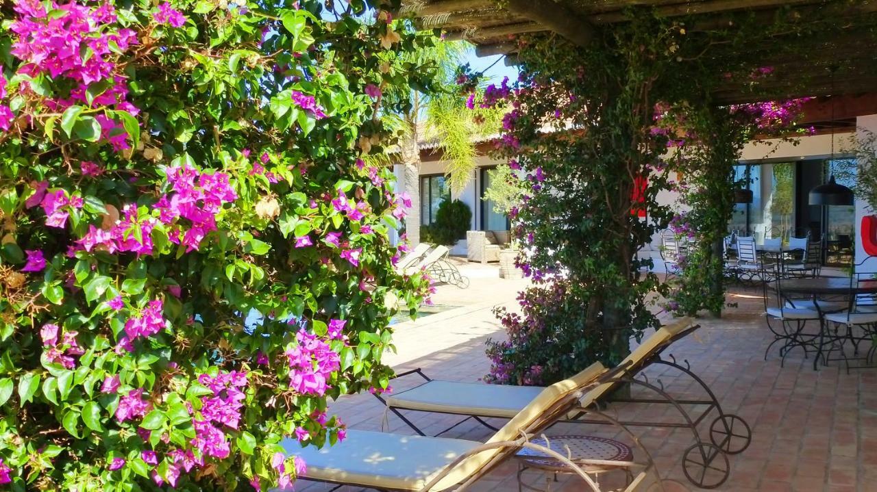 Sharish - Monte Das Estevas Estremoz Esterno foto