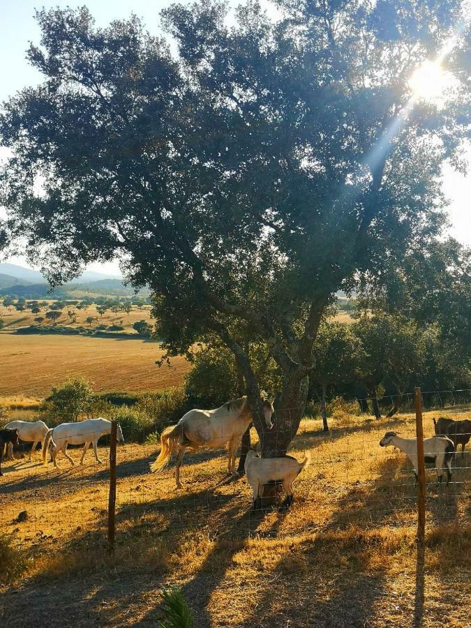 Sharish - Monte Das Estevas Estremoz Esterno foto