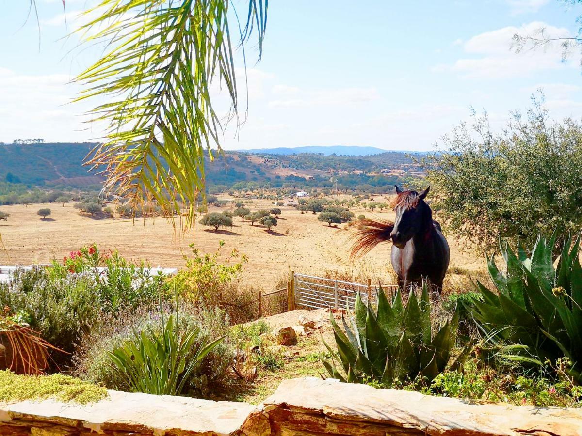 Sharish - Monte Das Estevas Estremoz Esterno foto